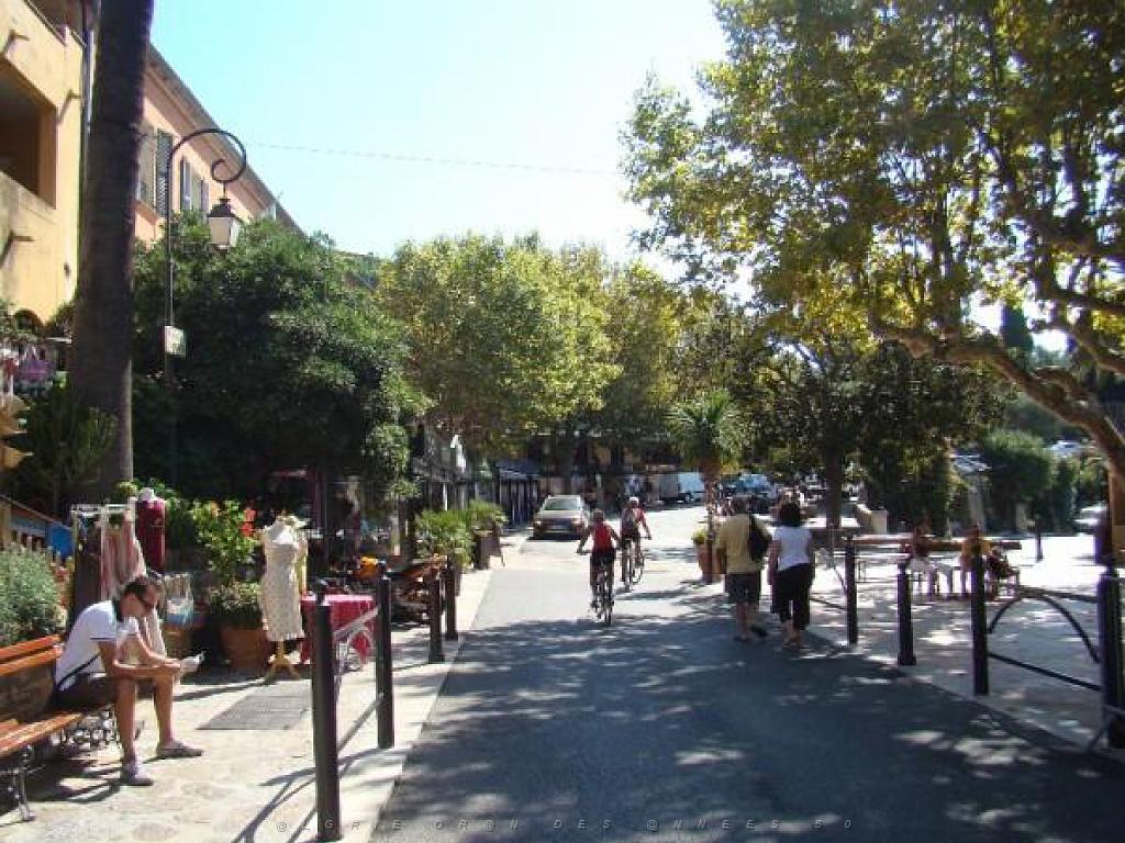183 D24 BORMES LES MIMOSAS 2_000004.jpg